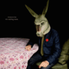TINDERSTICKS Nuovo Video
