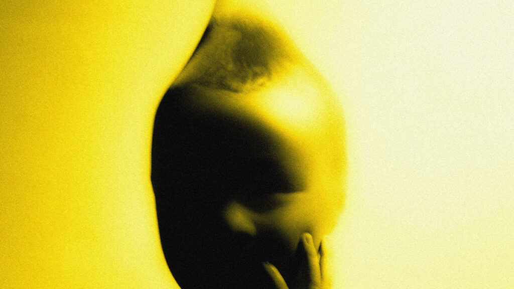 LEMONSUCKR