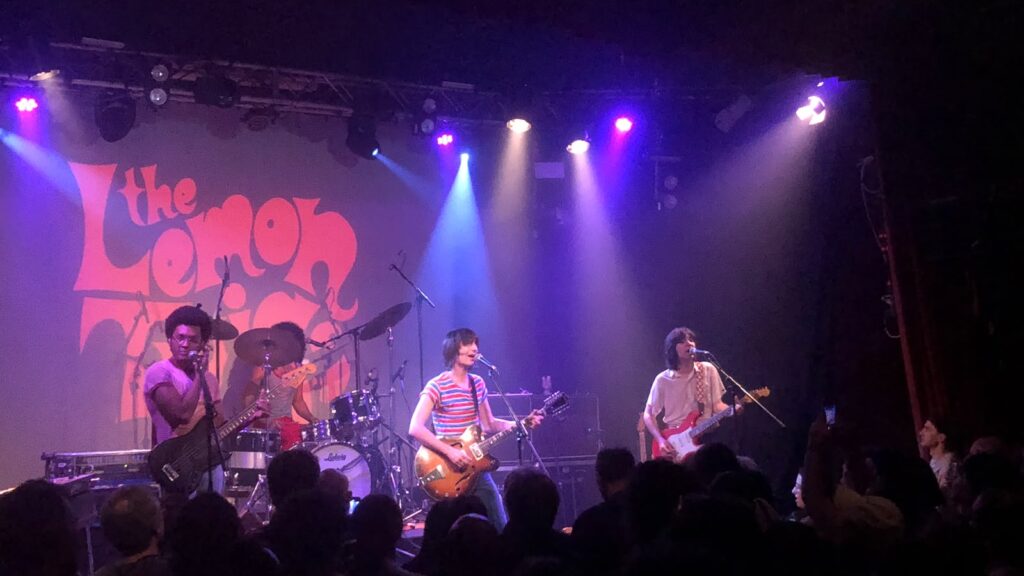 THE LEMON TWIGS A BOLOGNA – IL REPORT
