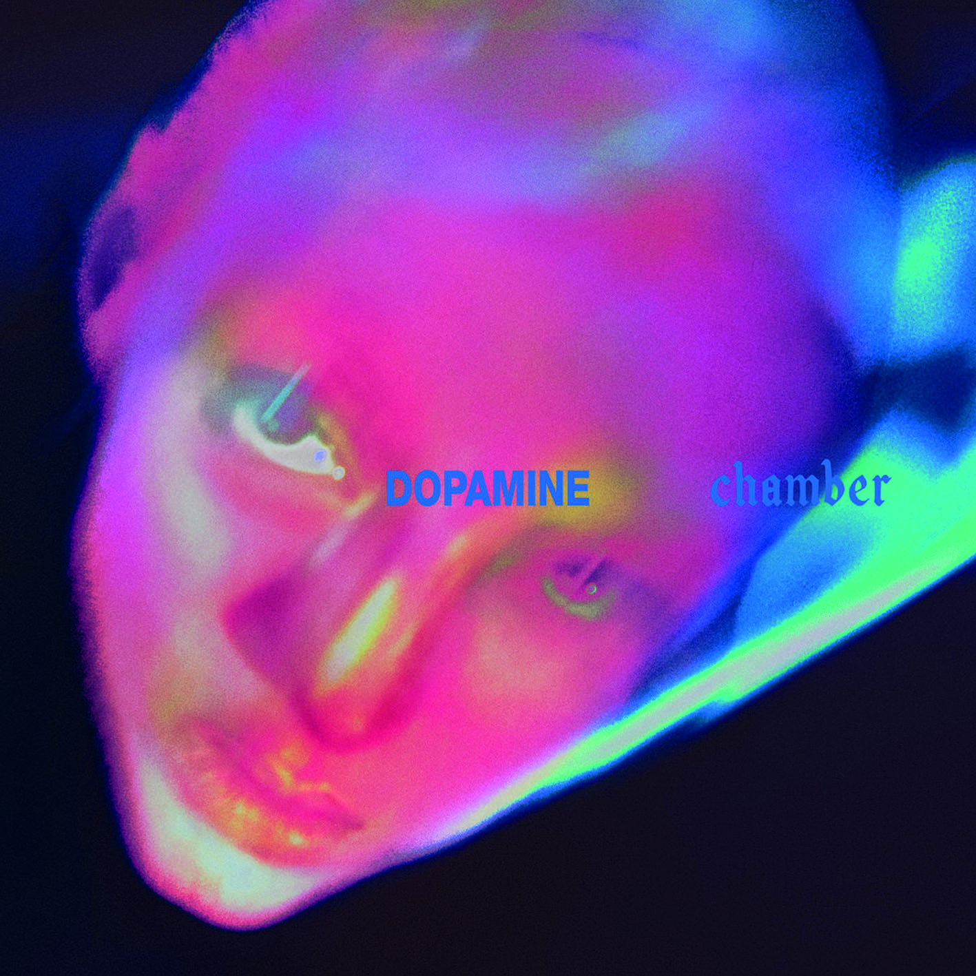 Fontaines D.C.